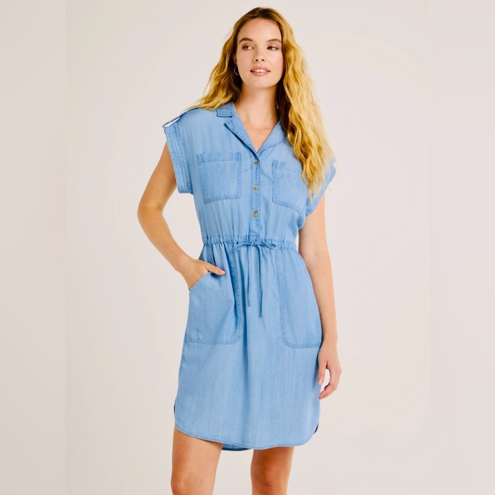 Time and Tru Denim Utility Dress